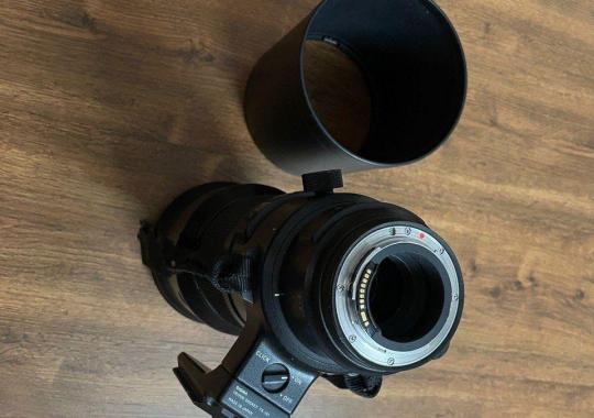 Sigma 500mm f/4 DG OS HSM Sports for Canon with Sigma 1.4x Tele Converter TC-1401 for Canon