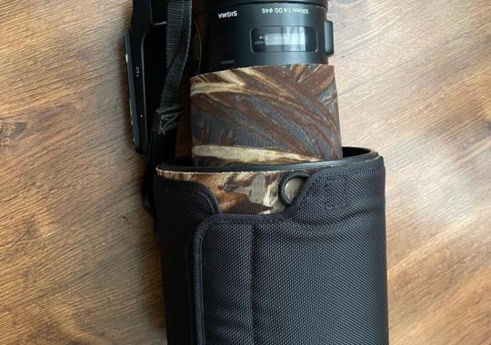 Sigma 500mm f/4 DG OS HSM Sports for Canon with Sigma 1.4x Tele Converter TC-1401 for Canon