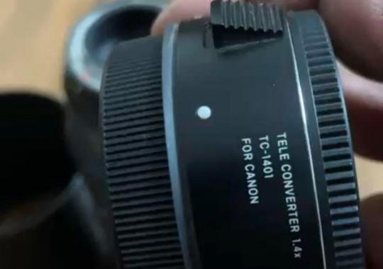 Sigma 500mm f/4 DG OS HSM Sports for Canon with Sigma 1.4x Tele Converter TC-1401 for Canon